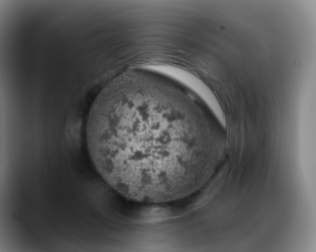 X0000088870319200706151758
