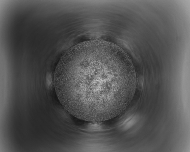 X0000088870335200706151758