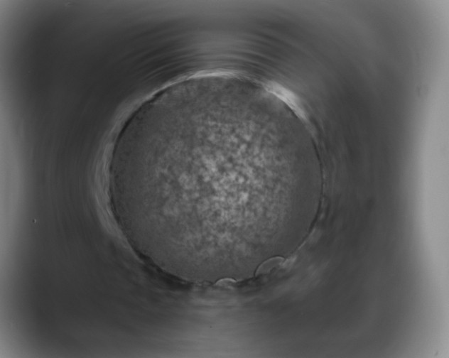 X0000088870337200706151757