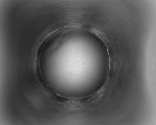 X0000088870338200706151757