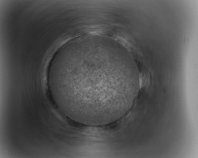 X0000088870339200706151757