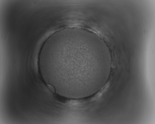 X0000088870341200706151757