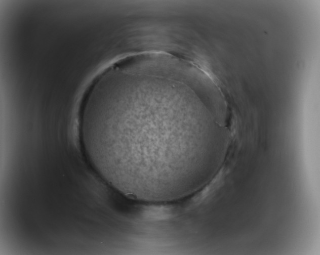 X0000088870342200706151757
