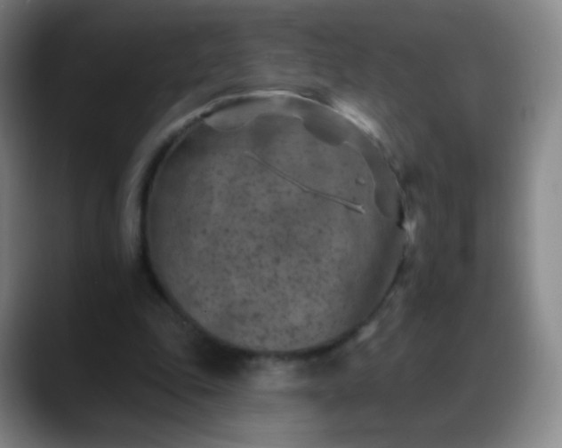 X0000088870343200706151757
