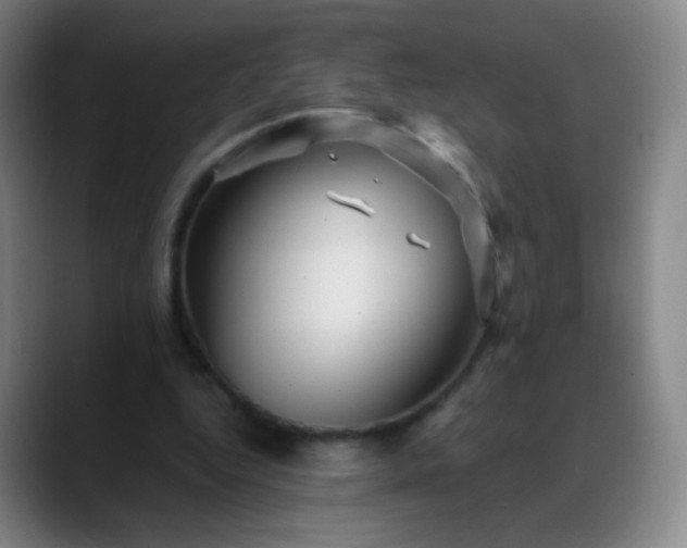 X0000088870344200706151757