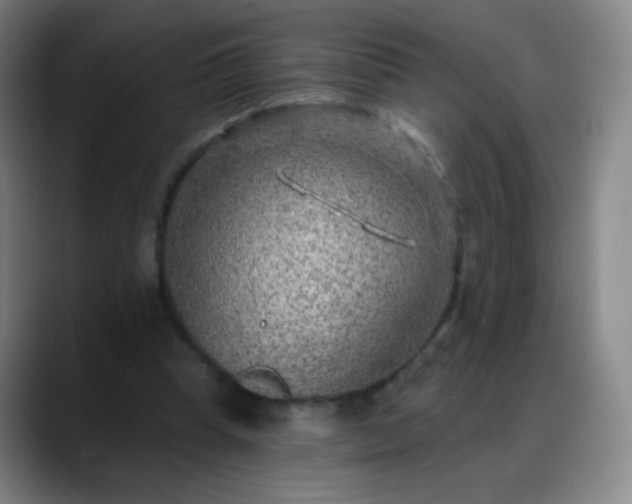 X0000088870345200706151757