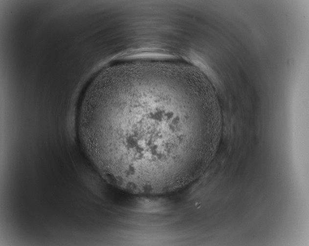 X0000088870346200706151757