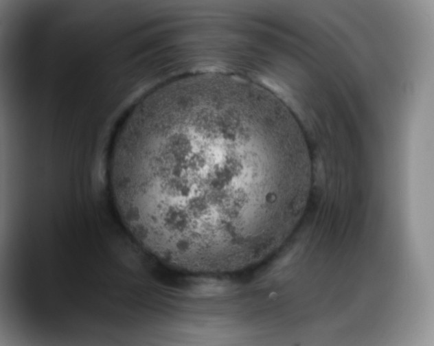 X0000088870347200706151757