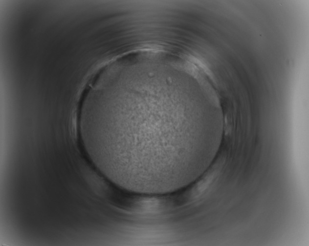 X0000088870349200706151757