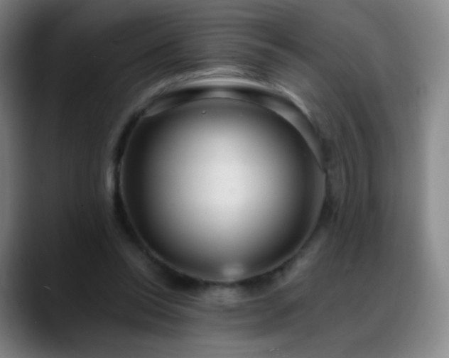 X0000088870350200706151757