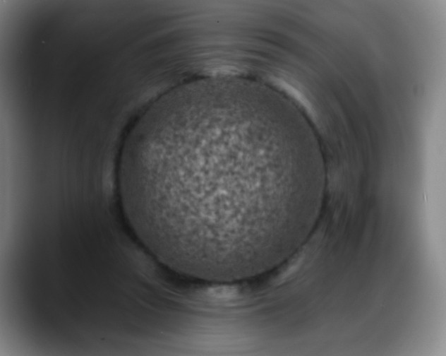 X0000088870353200706151757
