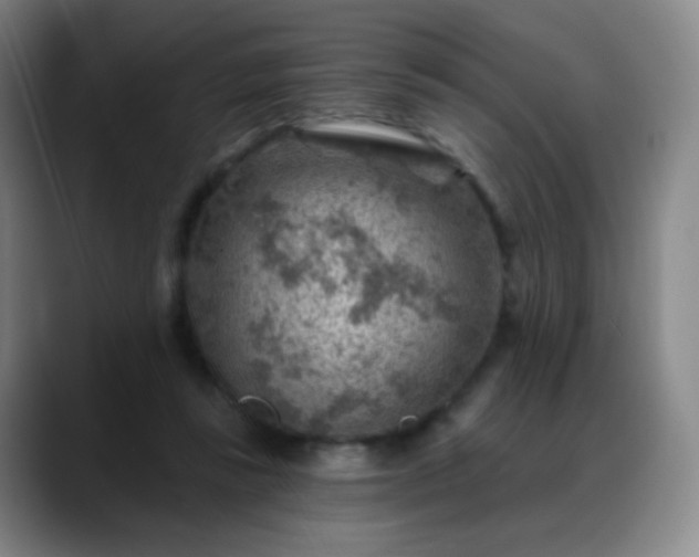 X0000088870355200706151757