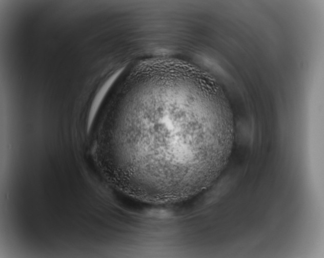 X0000088870358200706151757