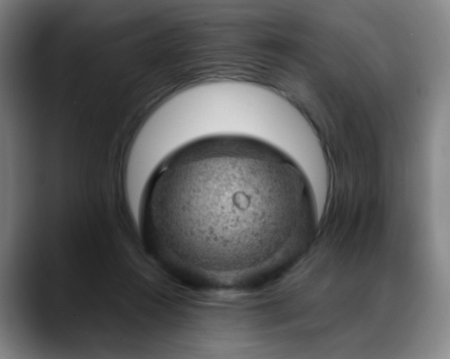 X0000088870360200706151757