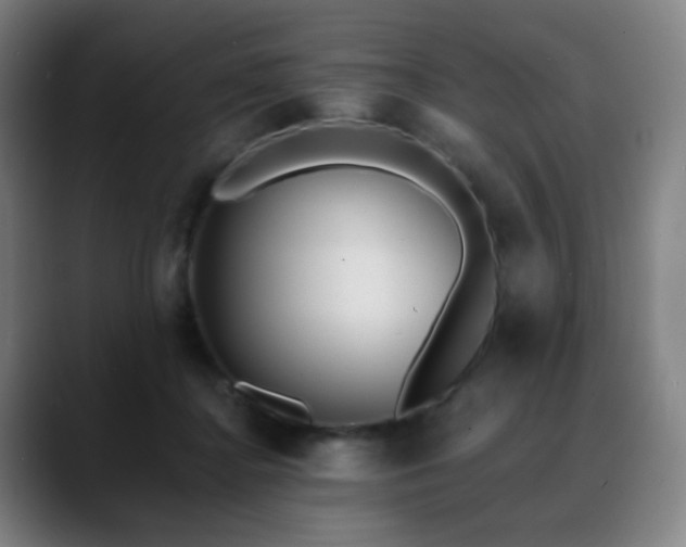 X0000088870364200706151758