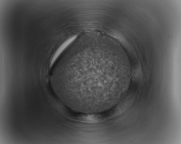 X0000088870365200706151758