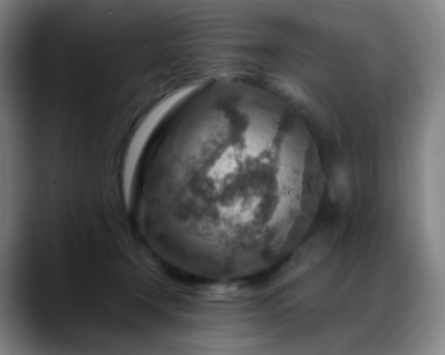 X0000088870366200706151758