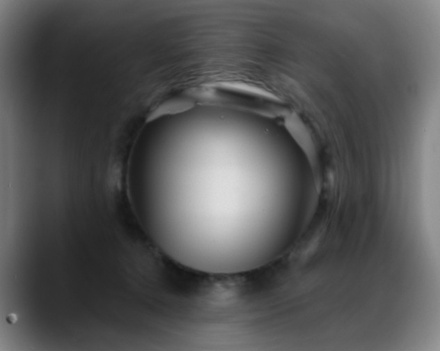 X0000088870368200706151758