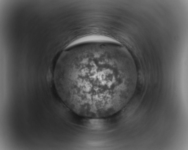 X0000088870371200706151758