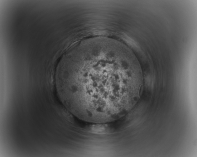 X0000088870373200706151758
