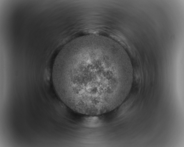 X0000088870374200706151758