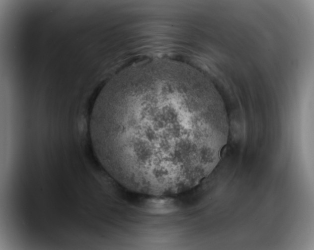 X0000088870375200706151758