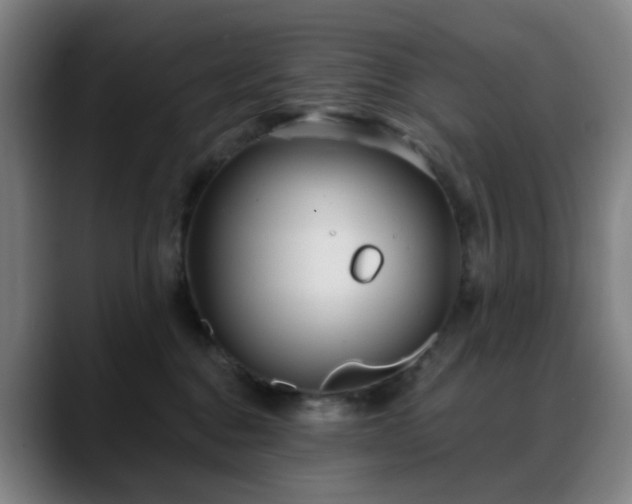 X0000088870376200706151758