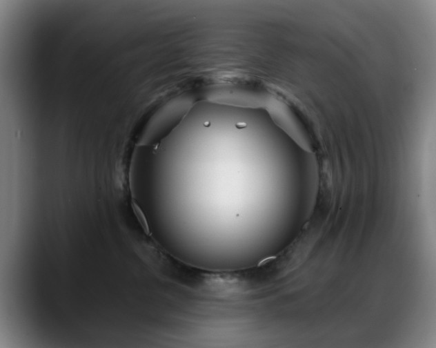 X0000088870380200706151758