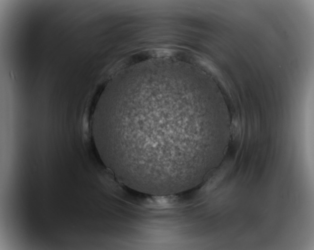 X0000088870381200706151758