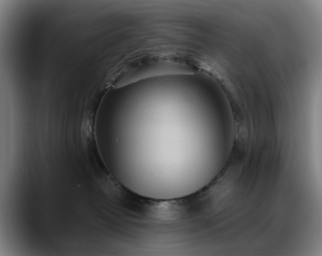 X0000088870382200706151758