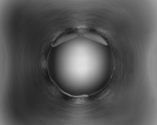 X0000088870384200706151758
