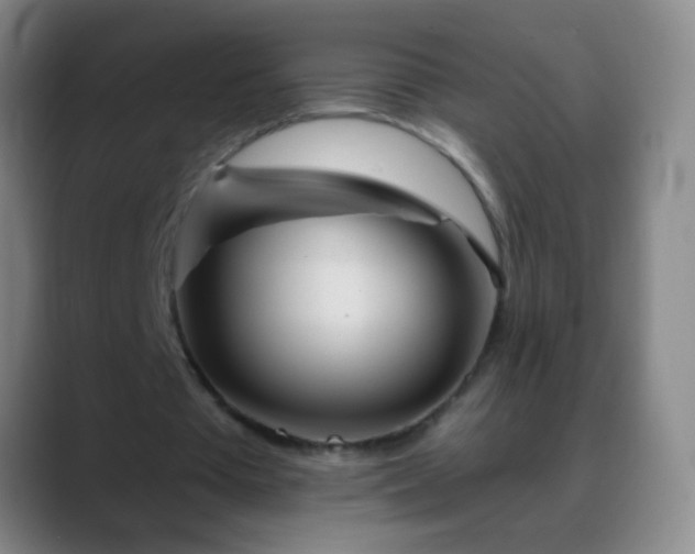 X0000088870385200706151757