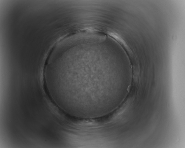 X0000088870386200706151757