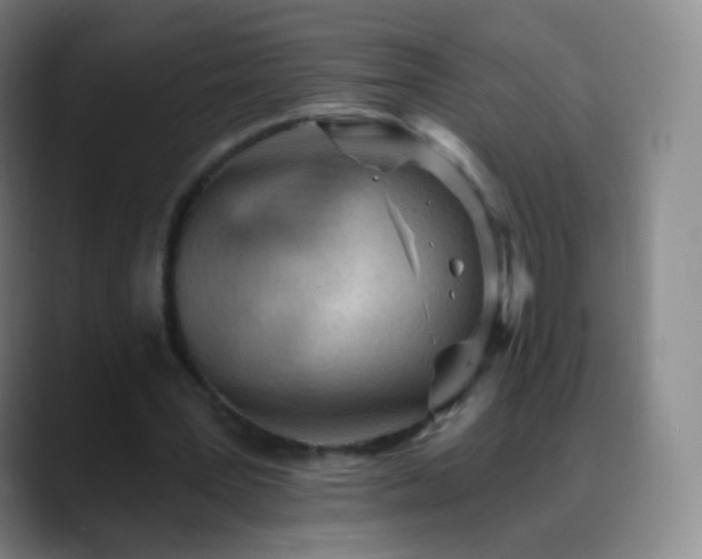 X0000088870387200706151757
