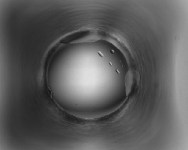 X0000088870388200706151757