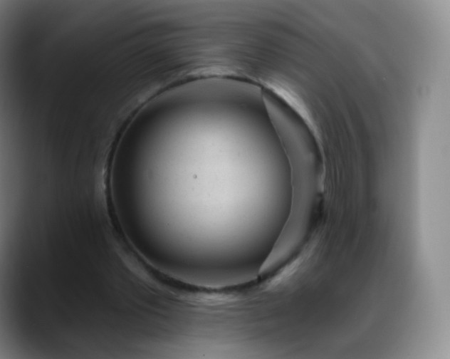 X0000088870389200706151757