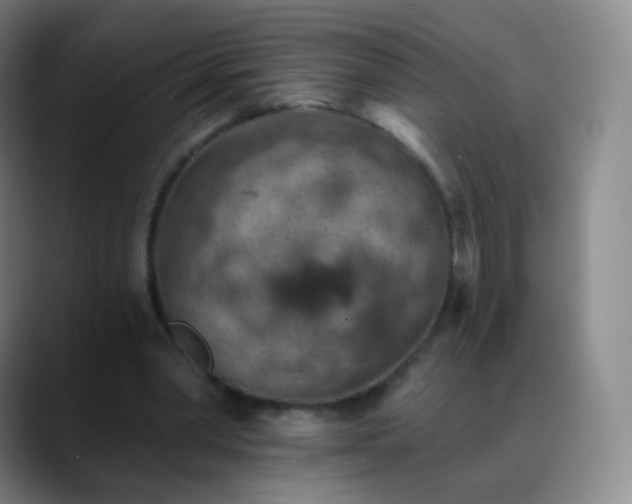 X0000088870390200706151757