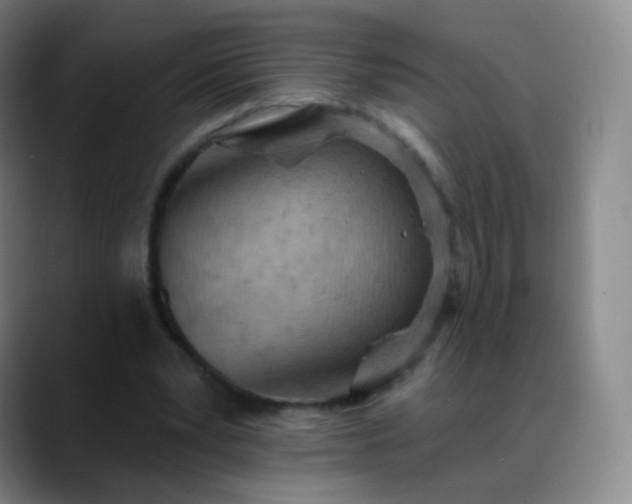 X0000088870391200706151757