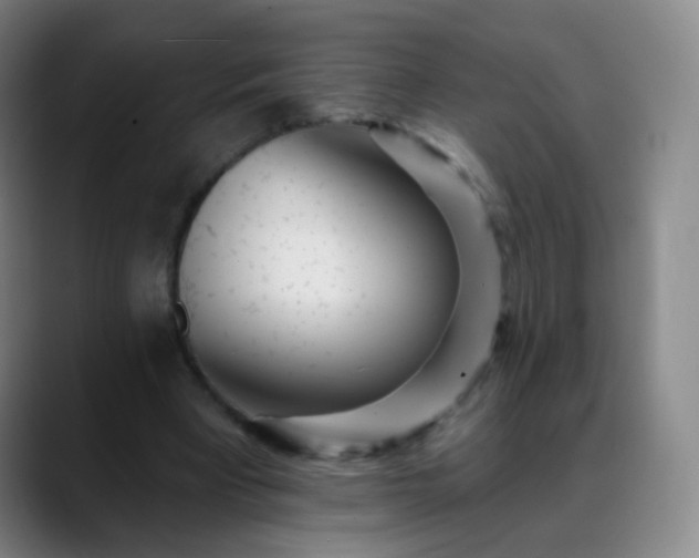 X0000088870393200706151757