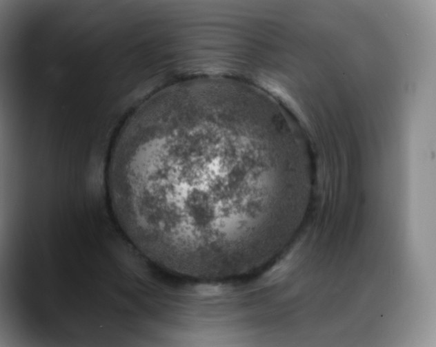 X0000088870394200706151757
