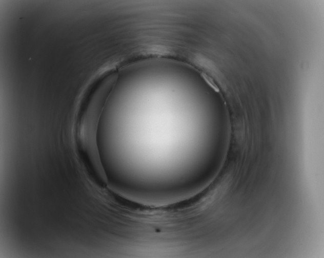X0000088870395200706151757