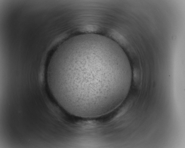 X0000088870396200706151757