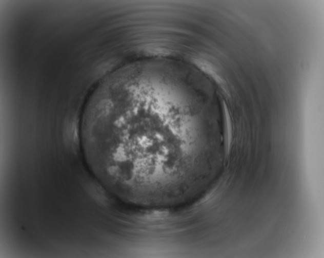 X0000088870398200706151757