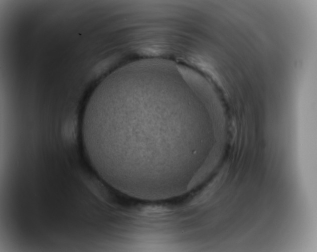 X0000088870400200706151757