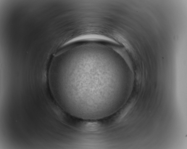 X0000088870401200706151757