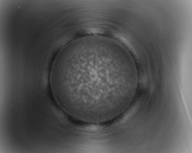 X0000088870402200706151757