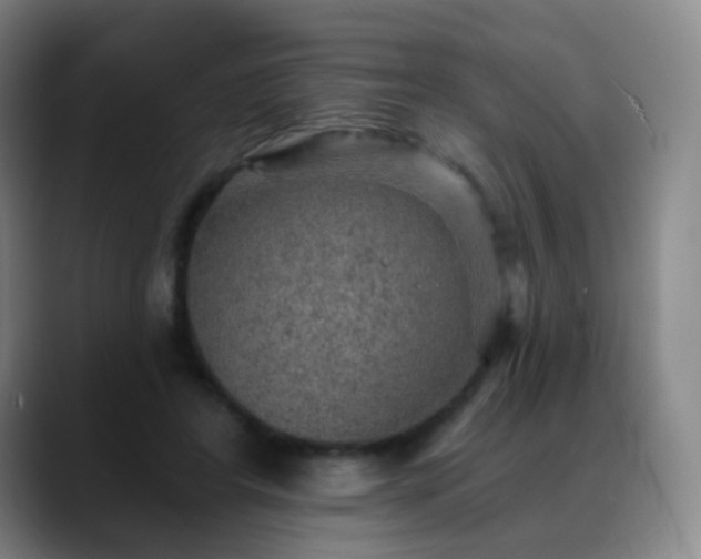 X0000088870404200706151757