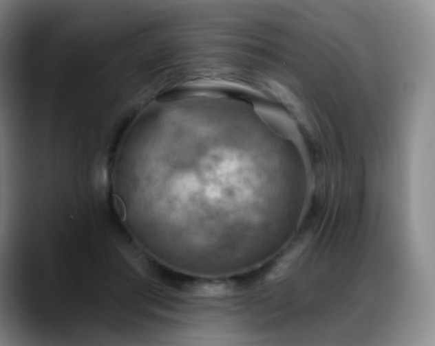 X0000088870405200706151757