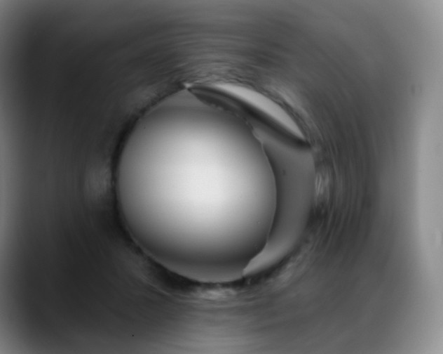 X0000088870407200706151757