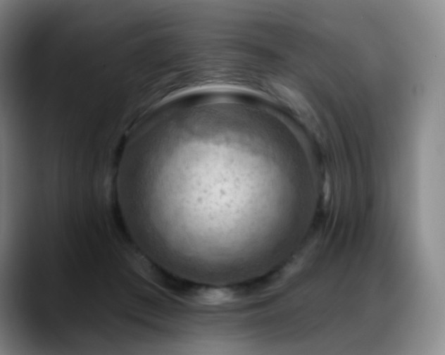 X0000088870409200706151757